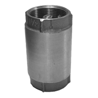 Check Valve Inline Stainless Steel 1 1/4" Connections FNPT 