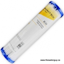 Water Filter #R50