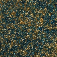 Media - Bulk