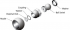 detail_11_bernoulli_1.png