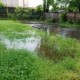 How to prevent pooling water in your yard, and garden